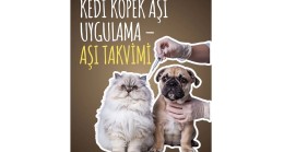 Kedi Köpek Aşı Uygulama – Aşı Takvimi