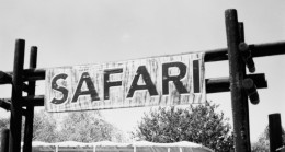 Marmaris At Safari: Eşsiz Bir Doğa Deneyimi