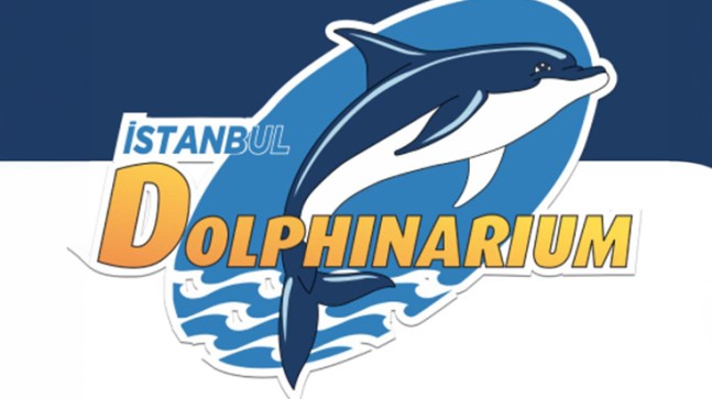 İstanbul Dolphinarium’da Yunuslarla Özel Yüzme Programı ve Gösteriler