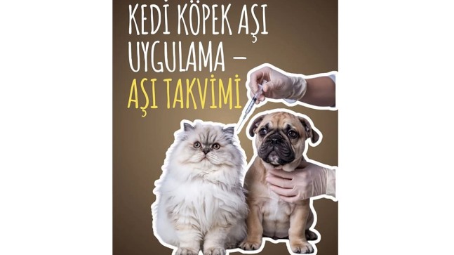 Kedi Köpek Aşı Uygulama – Aşı Takvimi