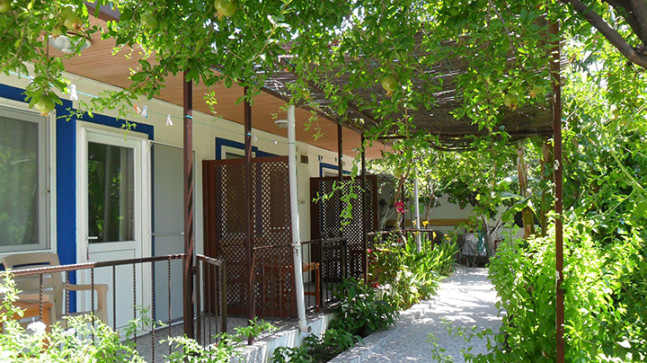 Bodrum’da Doğallığın ve Konforun Yeni Adresi: Mazi Çiçek Pansiyon