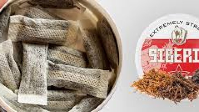 Snus Hakkında Bilmeniz Gerekenler: Sigara Alternatifi mi Yoksa Riskli Bir Alışkanlık mı?