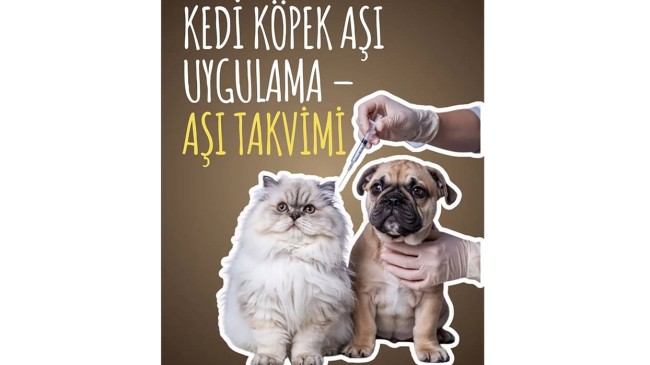 Kedi Köpek Aşı Uygulama – Aşı Takvimi