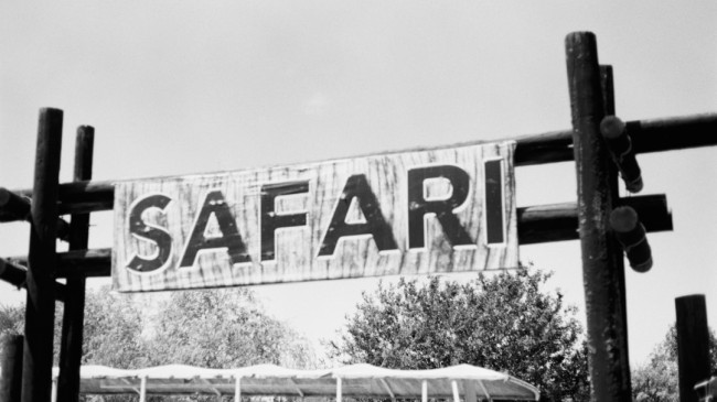 Marmaris At Safari: Eşsiz Bir Doğa Deneyimi